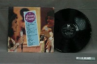 藏品(山水唱片企業有限公司發行編號「SB-3027」英語歌曲專輯《冠軍之星第207集：唐尼與瑪莉金唱片精選集》)的圖片