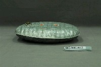 藏品(鍍鋅製水龜)的圖片