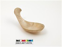 藏品(貝匙)的圖片