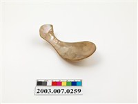 藏品(貝匙)的圖片