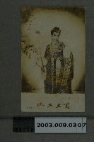 藏品(《萬里長城》李麗華劇照)的圖片