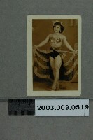 藏品(海珠明星照)的圖片