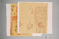 藏品(嘉慶7年王源和號等立杜賣盡根絕契字併契尾)的圖片