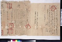 藏品(乾隆26年呂淑立杜賣絕根契字併契尾)的圖片