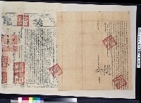 藏品(同治5年黃獻卑等仝立杜賣絕根田厝契字併契尾)的圖片