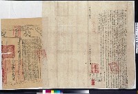 藏品(光緒2年蔡廖氏等立杜賣盡根田厝契字併契尾)的圖片