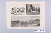 藏品(1874年8月29日《圖畫週報》插畫)的圖片