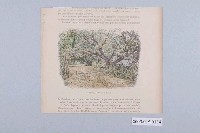 藏品(保羅伯內藤著《世界風情與古蹟—遠東》之〈林蔭大道〉)的圖片