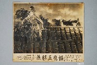 藏品(《怪鷹五彩燕》電影劇照)的圖片