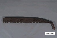 藏品(五齒鉤鋸)的圖片