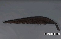 藏品(落頭鋸)的圖片