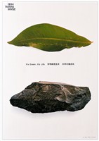藏品(臺灣環保系列海報作品)的圖片