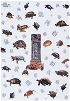 藏品(漢字反斗城海報作品)的圖片