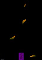 藏品(祈求主題海報作品)的圖片