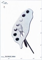 藏品(灰色臺灣調色盤海報作品)的圖片