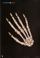 藏品(和平主題海報作品14「童歸於盡」)的圖片