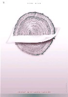 藏品(紙主題海報作品6「前人種樹、後人記載」)的圖片