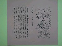 藏品(《武帝真經寶懺》第16頁)的圖片