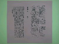 藏品(《文帝真經寶懺》卷首第6頁)的圖片