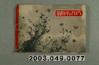 藏品(理研光學相機廣告單)的圖片