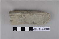 藏品(石塊)的圖片