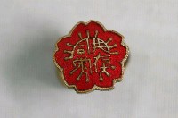 藏品(日治時期「共存共榮」紀念章)的圖片