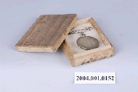 藏品(1920年（大正九年）大日本帝國第一回國勢調查紀念章組)的圖片