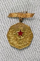 藏品(愛國婦人會有功章)的圖片