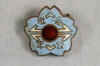 藏品(奉公壯年紀念章)的圖片