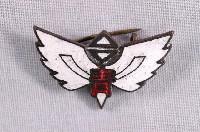 藏品(臺中州青年團徽章)的圖片