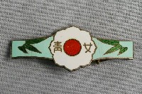 藏品(女子青年團徽章)的圖片