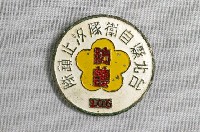 藏品(臺北縣自衛隊汐止鎮隊紀念章)的圖片