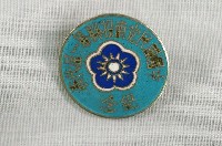 藏品(中國國民黨南投縣第一屆代表紀念章)的圖片