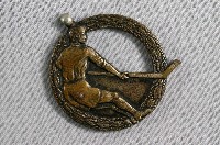 藏品(全島曲棍球選手權大會紀念徽章)的圖片