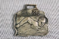 藏品(臺灣體育協會新竹支部游泳紀錄紀念章)的圖片