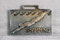 藏品(臺灣體育協台南支部第11屆水泳大會紀念章)的圖片