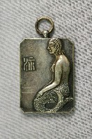 藏品(第9屆臺北社會人水上競技大會紀念章)的圖片