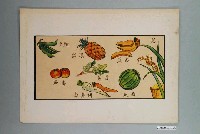 藏品(教具圖卡之蔬果圖)的圖片