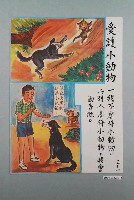藏品(教具圖卡之愛護小動物)的圖片