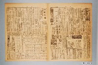 藏品(臺灣新生報社出版《臺灣新生報》1949年（民國38年）9月9日5至8版)的圖片