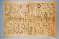 藏品(臺灣新生報社出版《臺灣新生報》1949年（民國38年）9月19日5至8版)的圖片