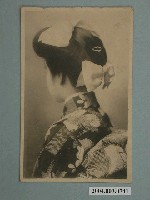 藏品(著和服的女子)的圖片