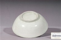 藏品(彩繪花卉紋碗公)的圖片