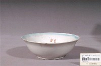 藏品(彩繪花卉紋花口碗)的圖片