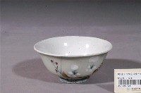藏品(白釉花草彩繪紋瓷碗)的圖片