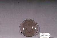 藏品(淡茶色透明玻璃小碟)的圖片