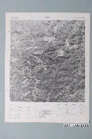 藏品(農林航空測量所〈中華民國臺灣地區像片基本圖－樹子林〉)的圖片