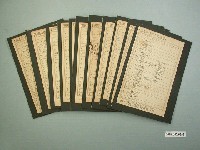 藏品(臺中師範尋常科第6學年月份教程表1組11張)的圖片