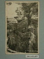 藏品(板橋光畫寫真館作林本源庭園拾級)的圖片