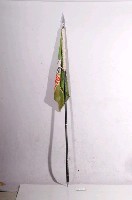 藏品(南靖糖廠（台糖）婦女互助會之布旗與旗杆)的圖片